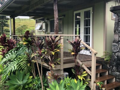 Tropical paradise - Available April 1-10, 2026